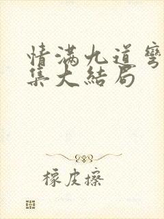 情满九道弯多少集大结局