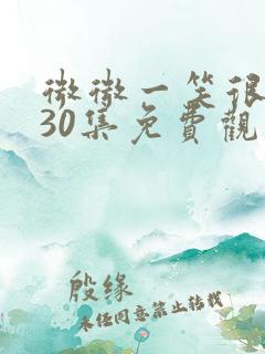 微微一笑很倾城30集免费观看全集