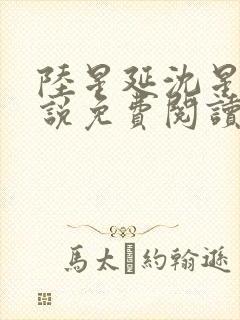 陆星延沈星若小说免费阅读