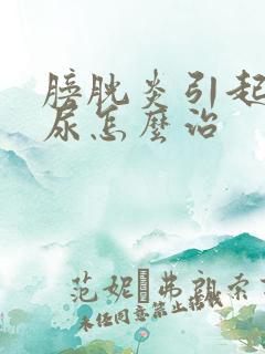 膀胱炎引起的血尿怎么治