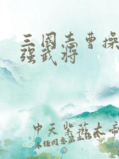 三国志曹操传最强武将