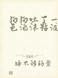 狗狗吐了一滩白色泡沫粘液方法