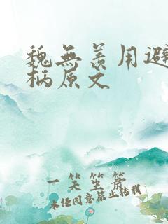 魏无羡用避尘剑柄原文