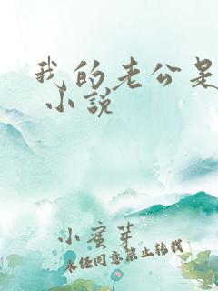 我的老公是条狗 小说