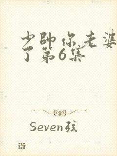少帅你老婆又跑了第6集