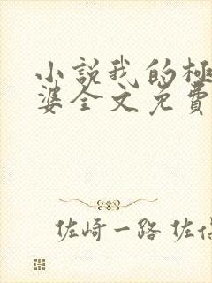 小说我的极品老婆全文免费阅读