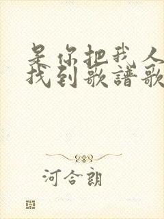 是你把我人海中找到歌谱歌词