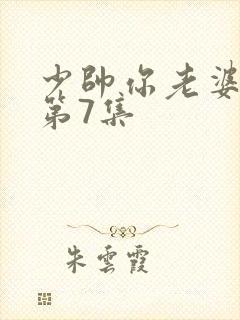 少帅你老婆又跑第7集