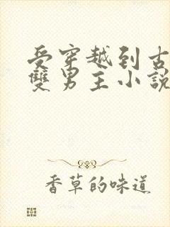 受穿越到古代的双男主小说