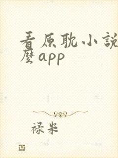 看原耽小说用什么app