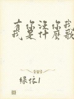有你没你我都是我是什么歌