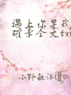 遇上你是我的小确幸全文txt下载
