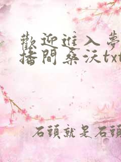 欢迎进入梦魇直播间桑沃txt全本小说