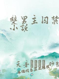 双男主囚禁调教小说