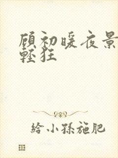 顾初暖夜景寒叶轻狂