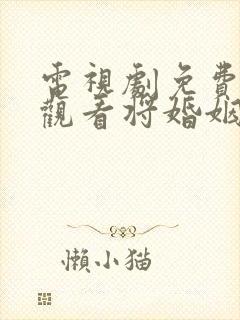 电视剧免费全集观看将婚姻进行到底