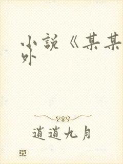 小说《某某》番外