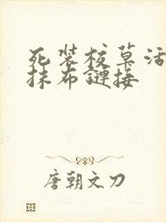 死装校草活该被抹布链接