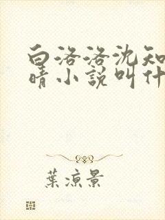 白洛洛沈知景夏晴小说叫什么名字来着