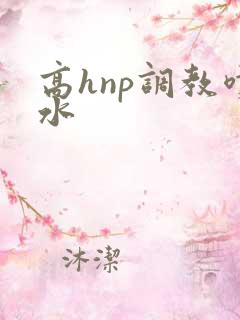 高hnp调教喷水