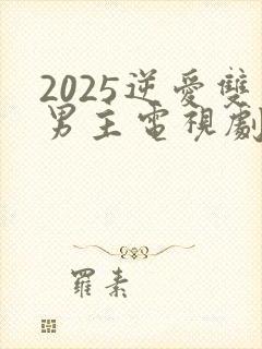 2025逆爱双男主电视剧免费观看全集
