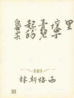 枭起青壤里林喜柔的儿子