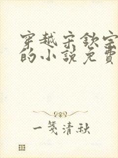 穿越宋钦宗赵恒的小说免费阅读