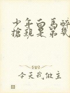 少年白马醉春风抢亲是第几集