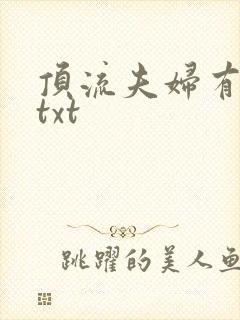 顶流夫妇有点甜txt