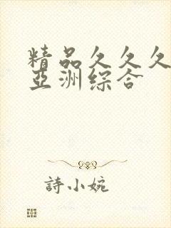 精品久久久久久亚洲综合