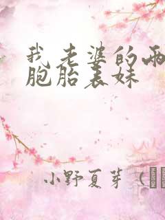 我老婆的两个双胞胎表妹