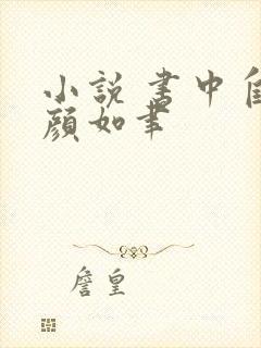 小说 书中自有颜如聿