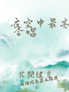 夜空中最亮的星 合唱