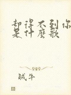 却得不到你的心是什么歌