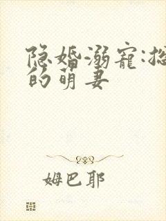 隐婚溺宠:总裁的萌妻