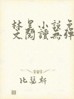林昊小说免费全文阅读无弹窗