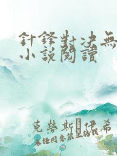 针锋对决无删减小说阅读