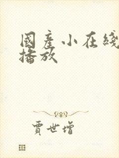 国产小在线av播放