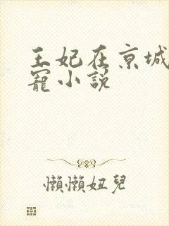 王妃在京城当团宠小说