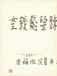 女总裁的贴身兵王段飞云诗彤