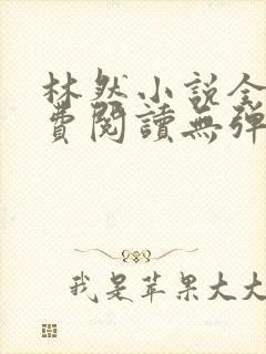 林然小说全文免费阅读无弹窗