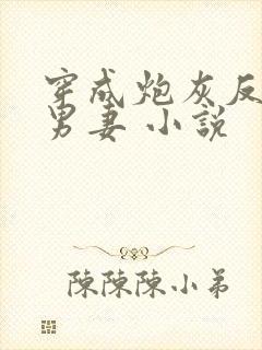 穿成炮灰反派的男妻 小说