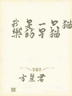 我是一只猫 快乐的星猫