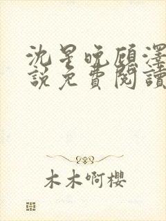 沈星晚顾泽宇小说免费阅读最新章节