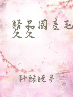 精品国产毛片久久久