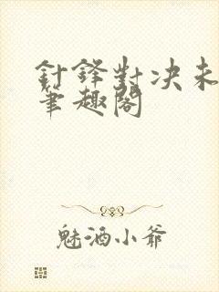 针锋对决未删减笔趣阁