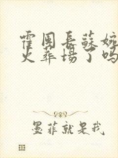 霍团长苏婉追妻火葬场了吗