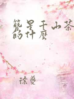 簪星千山茶客讲的什么