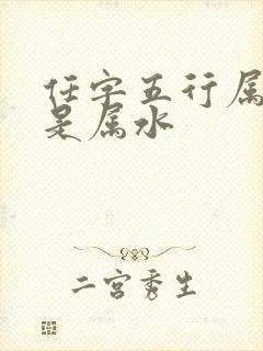 任字五行属金还是属水