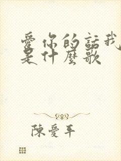 爱你的话我不说是什么歌